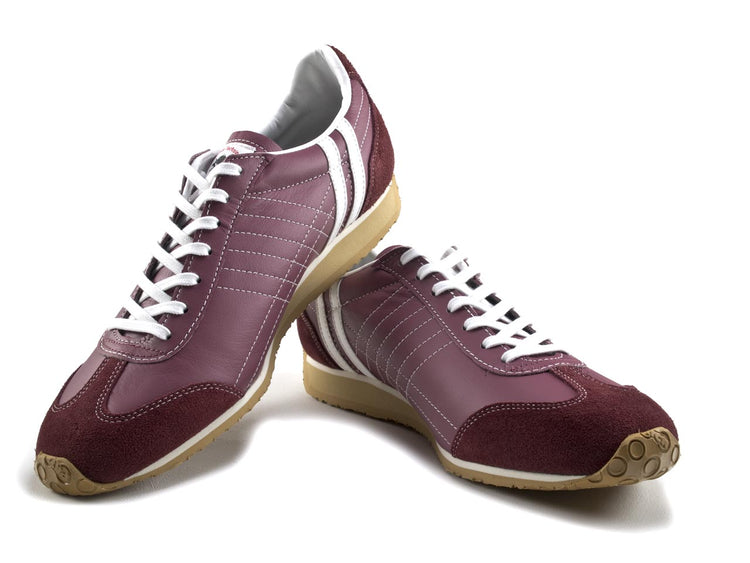 帕特里克虹膜梅花帕特里克虹膜梅花 232219