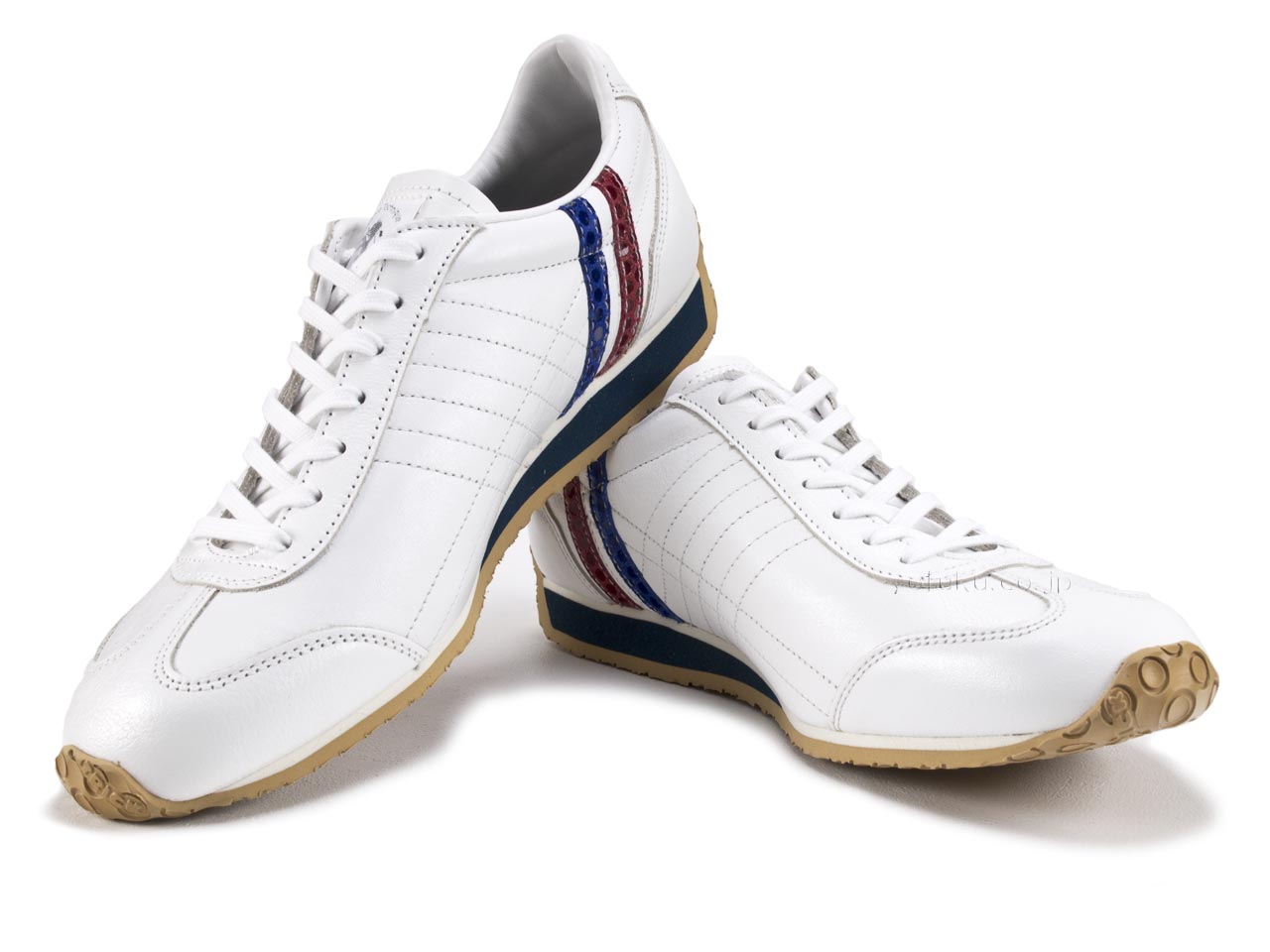 Patrick Pamir Dot Tricolor PATRICK PAMIR D.TRC 272119