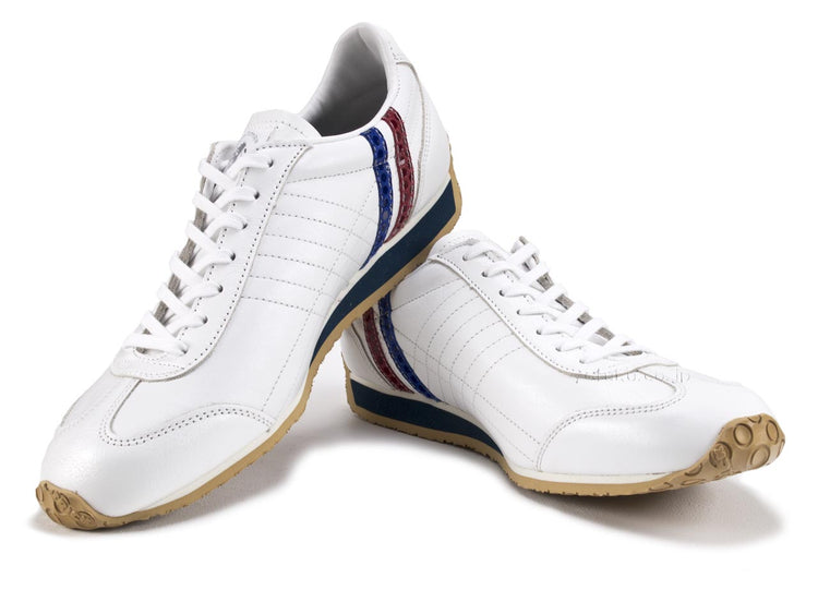 Patrick Pamir Dot Tricolor PATRICK PAMIR D.TRC 272119