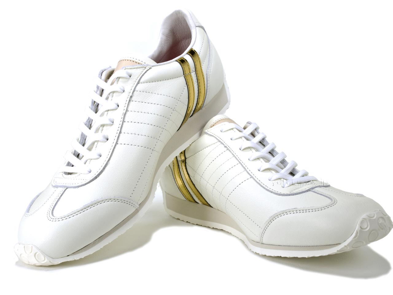 Patrick Pamir + Gold White PATRICK PAMIR+GD WHT 502320