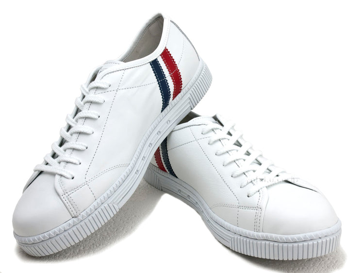 Patrick Crinum 白色 PATRICK CRINUM WHT 527010