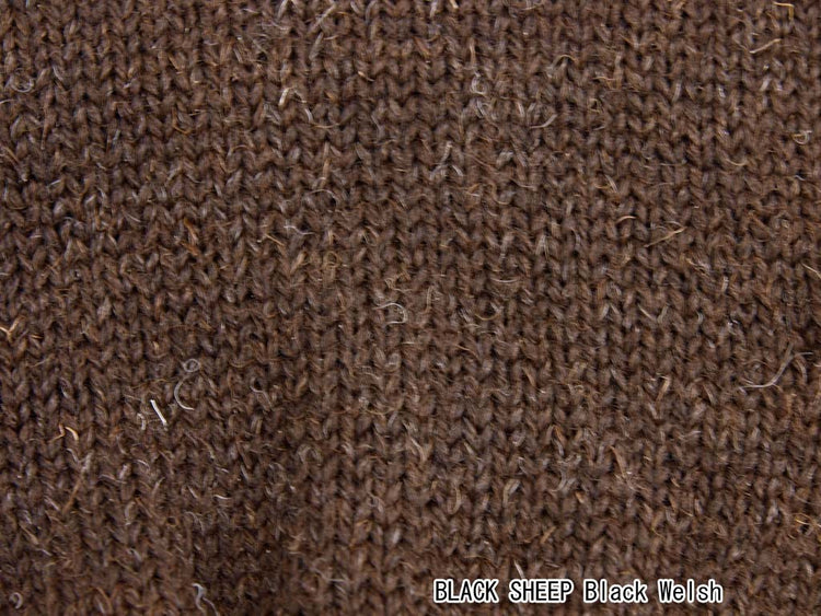 ブラックシープ グローブ BLACK SHEEP GLO7B bws