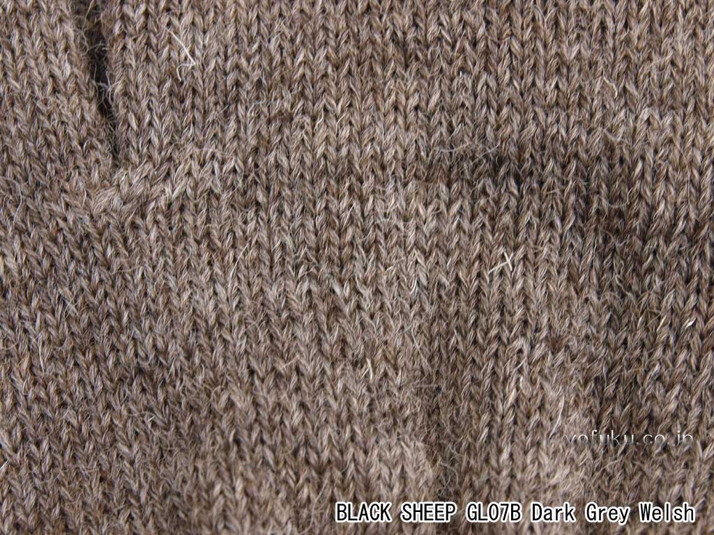 ブラックシープ グローブ BLACK SHEEP GLO7B dgw