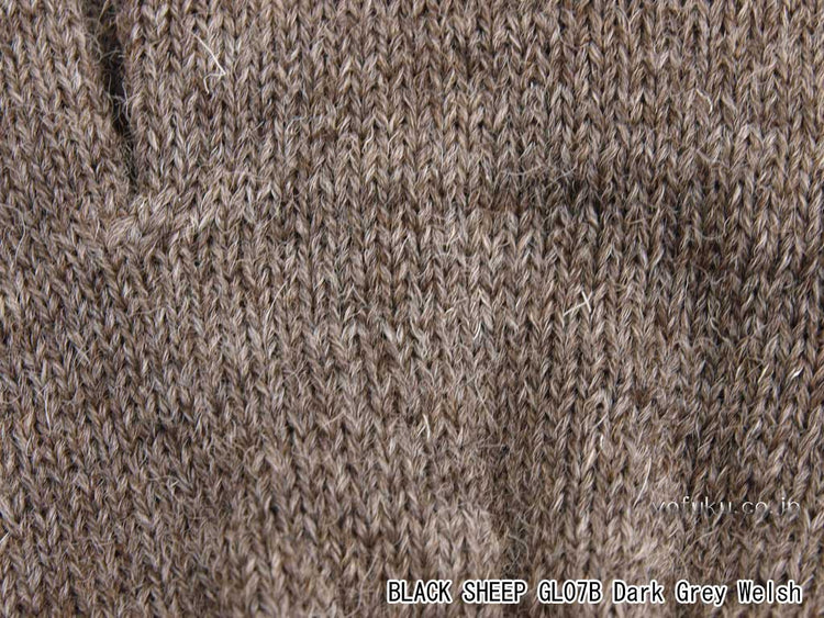ブラックシープ グローブ BLACK SHEEP GLO7B dgw