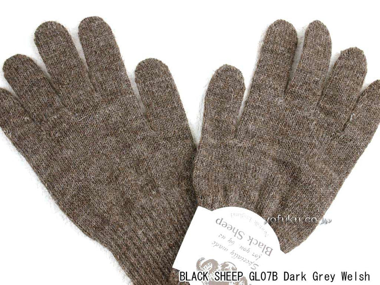 ブラックシープ グローブ BLACK SHEEP GLO7B dgw