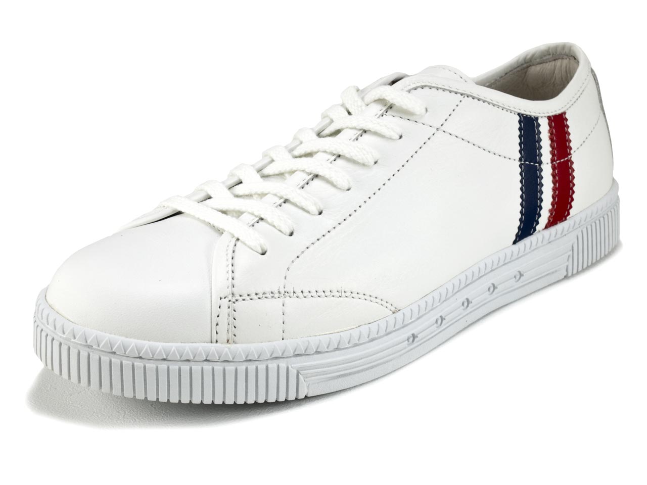 パトリック クリナム ホワイト PATRICK CRINUM WHT 527010