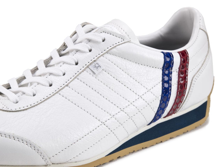 Patrick Pamir Dot Tricolor PATRICK PAMIR D.TRC 272119