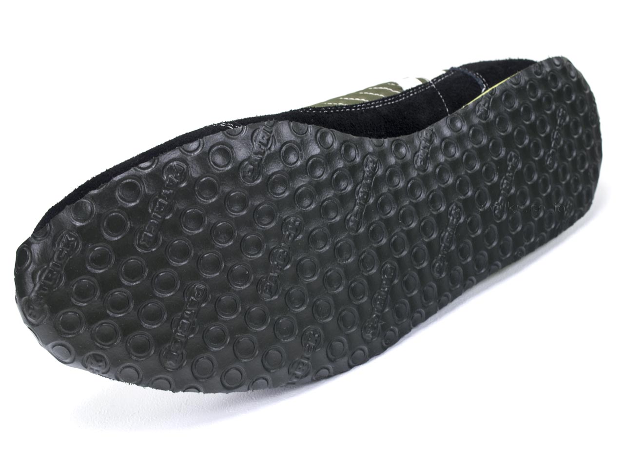 Patrick Stadium White Eye (White-eye) PATRICK STADIUM W.EYE 232108