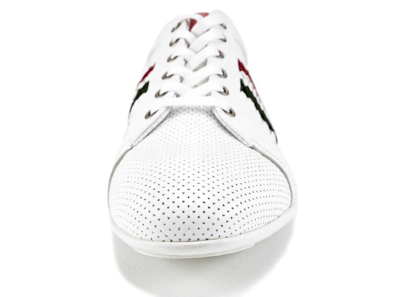 ジャンフランコ ラッタンツィ GIANFRANCO LATTANZI 5643 VIT WHITE/RED-GREEN