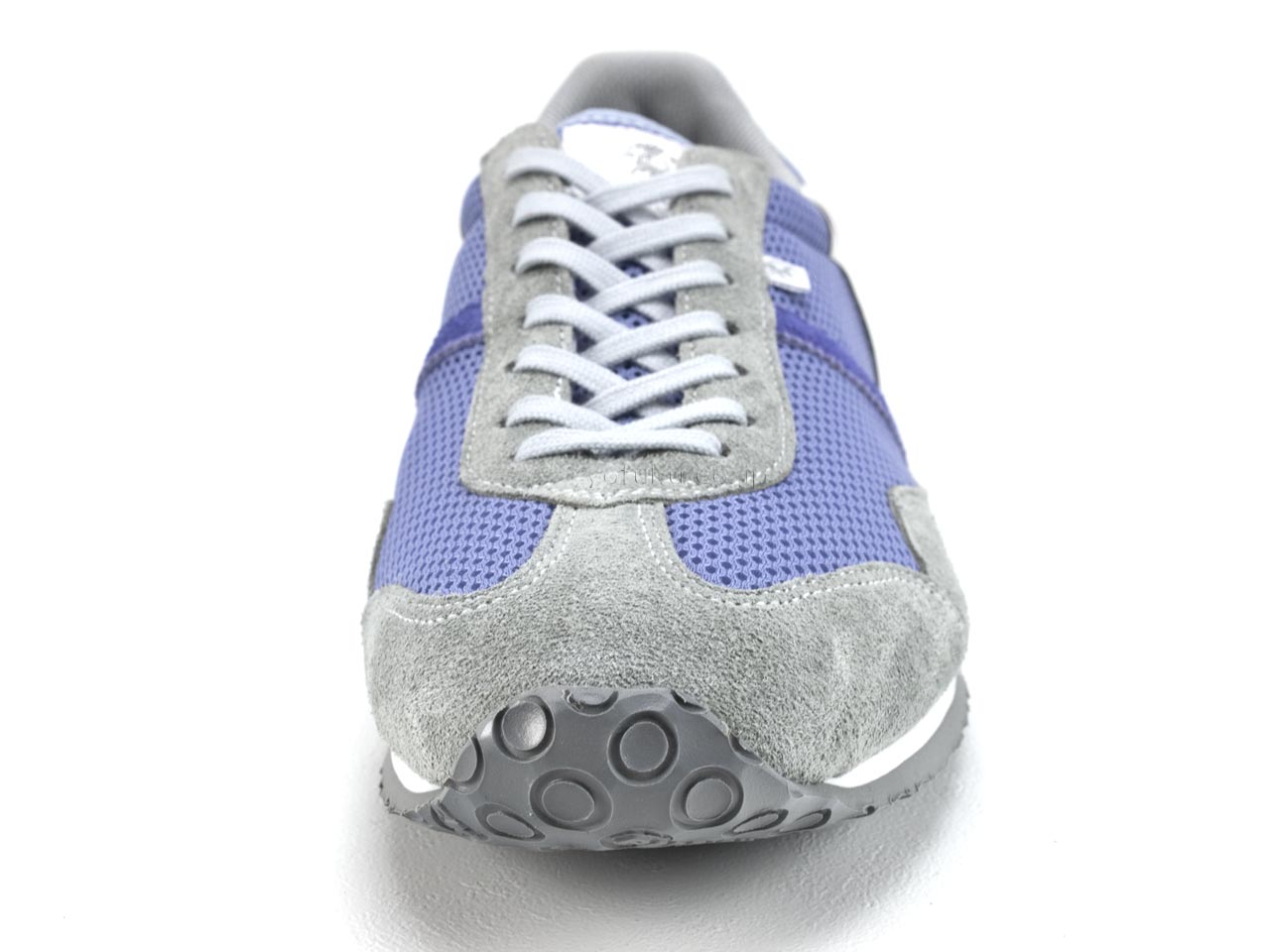 Patrick Cool Stadium 薰衣草色 PATRICK C-STADIUM LVD 272109