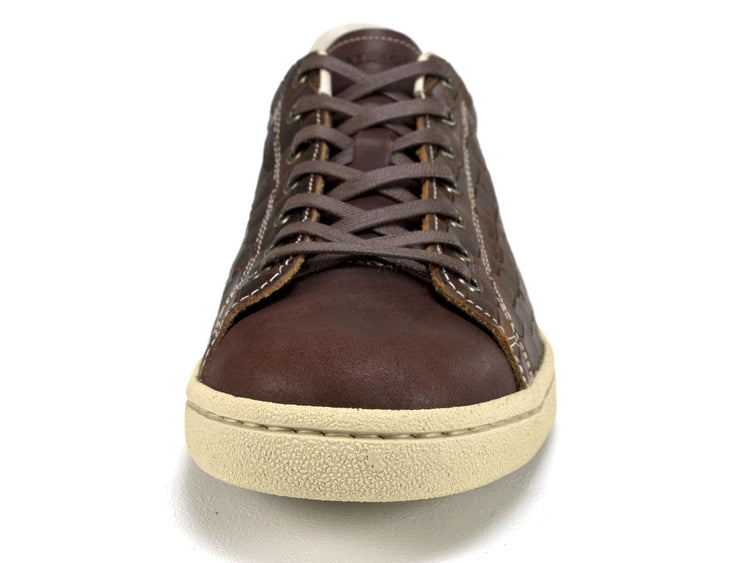 Patrick Punch Mostro Chocolate PATRICK PUNCH-MS CHO 503835