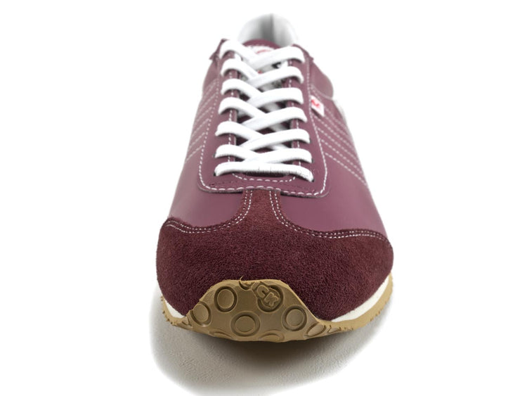 帕特里克虹膜梅花帕特里克虹膜梅花 232219