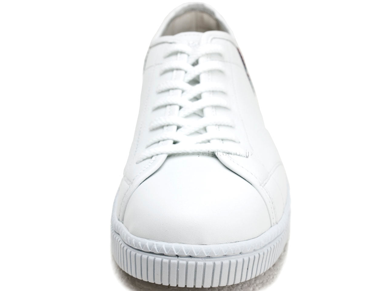 パトリック クリナム ホワイト PATRICK CRINUM WHT 527010