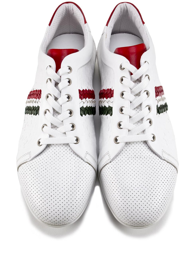 ジャンフランコ ラッタンツィ GIANFRANCO LATTANZI 5643 VIT WHITE/RED-GREEN